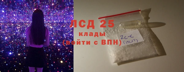 индика Балабаново