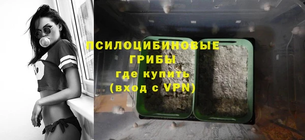 соль ск Балахна