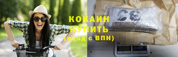 индика Балабаново