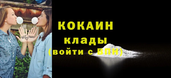 индика Балабаново