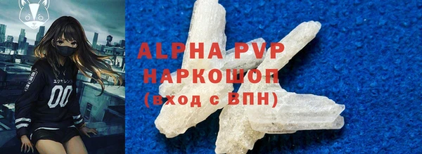 индика Балабаново