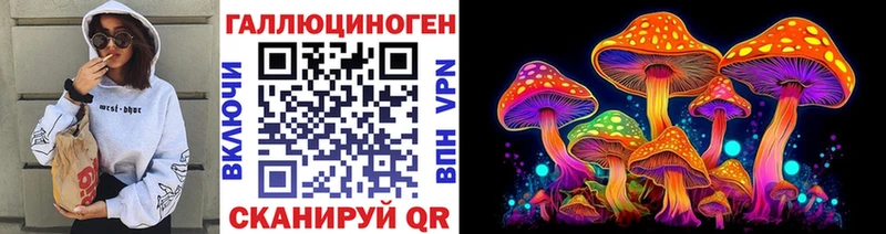 Псилоцибиновые грибы Psilocybe  дарнет шоп  блэк спрут маркетплейс  Лениногорск 